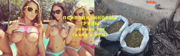 соль курить ск Богородск