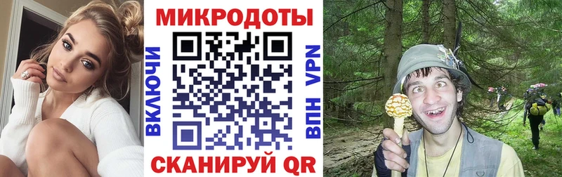 Галлюциногенные грибы Psilocybe  купить наркотик  Реж 